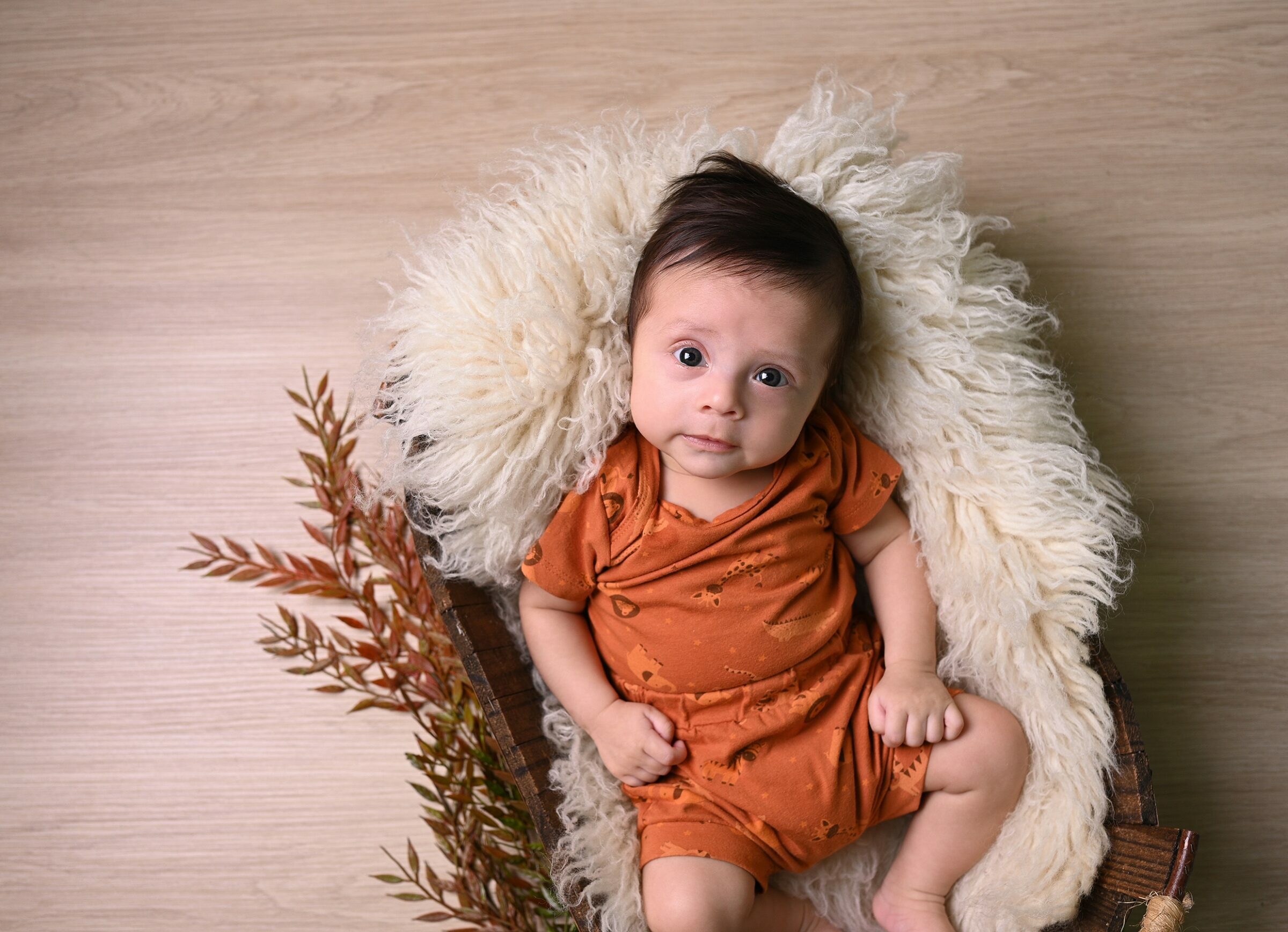 Foto de Estudio Magia 7